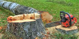 Best Leaf Removal  in Munsons Corners, NY