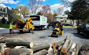 Grass Overseeding in Munsons Corners, NY
