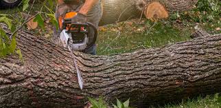 Lawn Drainage Solutions in Munsons Corners, NY